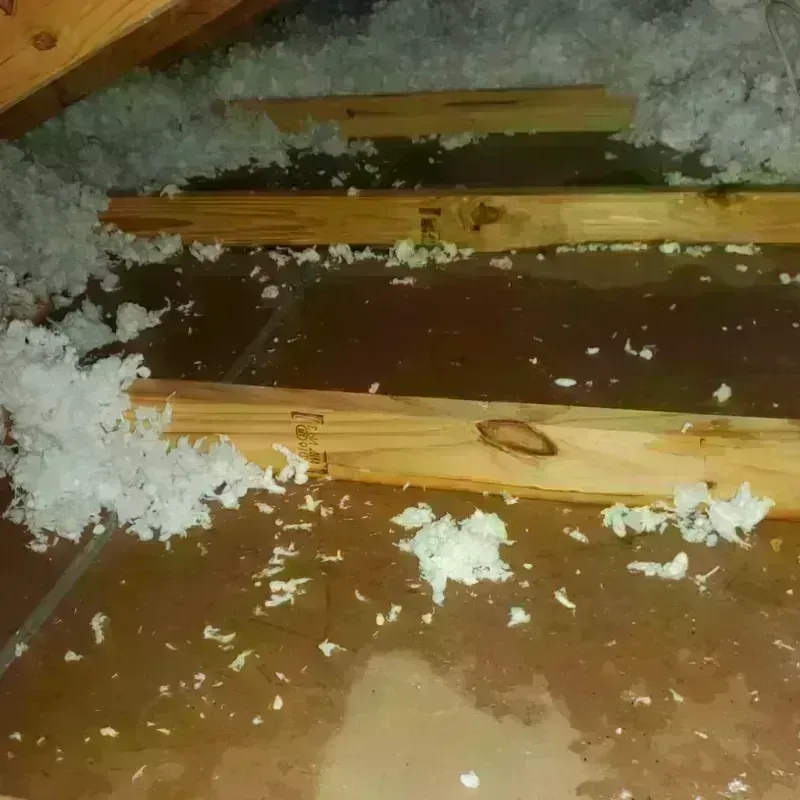 Attic Water Damage in Valley View, PA